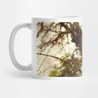 Hanami 3 Mug